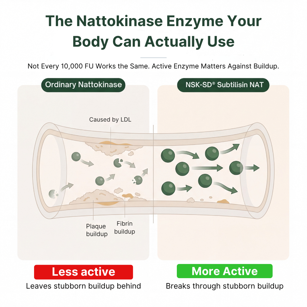 Cleanora™ Nattokinase Complex 10,000 FU