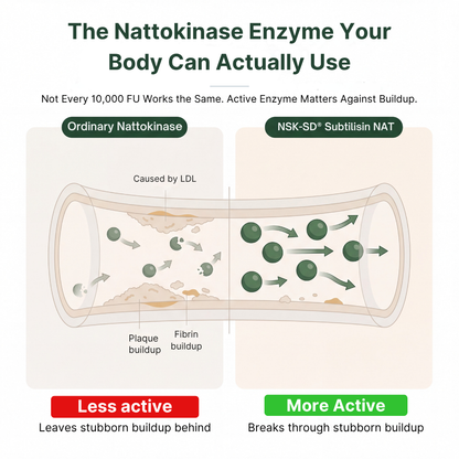 Cleanora™ Nattokinase Complex 10,000 FU