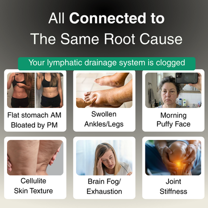 New Maximum Potency Formula - Lymphatic Drainage Capsules
